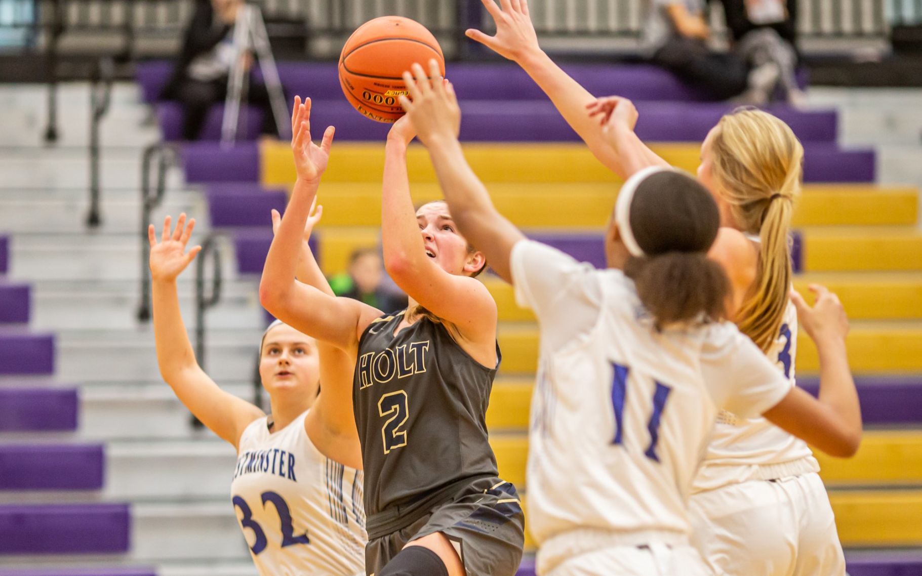 Westminster 48, Holt 42